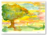 el_arbol