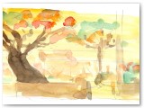 el_patio